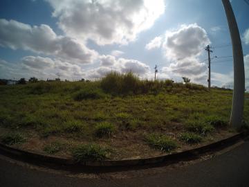 Terreno / Padrão em São José do Rio Preto 