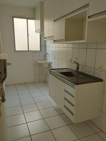 Apartamento / Padrão em São José do Rio Preto 