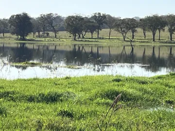 Rural / Fazenda em Aparecida do Taboado 