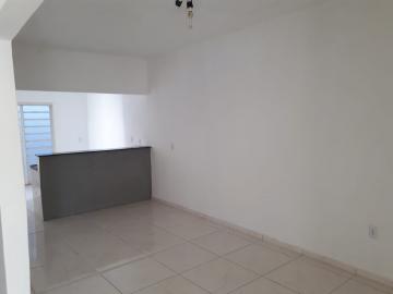 Alugar Casa / Padrão em São José do Rio Preto apenas R$ 1.100,00 - Foto 11