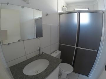 Alugar Casa / Condomínio em São José do Rio Preto R$ 1.500,00 - Foto 14