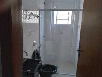 Alugar Apartamento / Padrão em São José do Rio Preto apenas R$ 900,00 - Foto 4