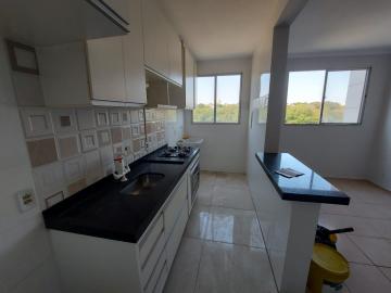 Alugar Apartamento / Padrão em São José do Rio Preto apenas R$ 1.100,00 - Foto 9