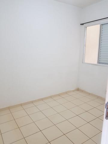 Alugar Casa / Condomínio em São José do Rio Preto R$ 1.100,00 - Foto 4