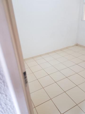 Alugar Casa / Condomínio em São José do Rio Preto apenas R$ 1.100,00 - Foto 5