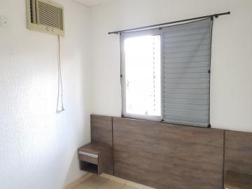 Alugar Casa / Condomínio em São José do Rio Preto R$ 1.100,00 - Foto 2