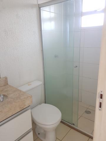 Alugar Casa / Condomínio em São José do Rio Preto apenas R$ 1.100,00 - Foto 9