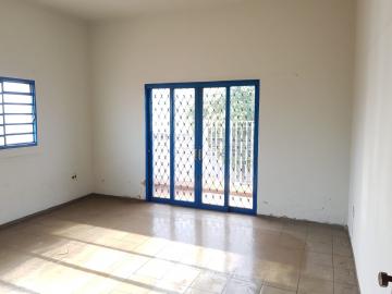 Alugar Comercial / Salão em São José do Rio Preto R$ 8.000,00 - Foto 27