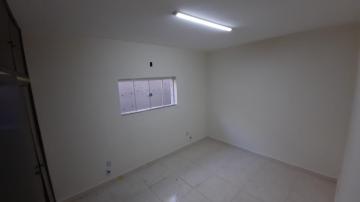 Alugar Comercial / Sala em São José do Rio Preto R$ 2.800,00 - Foto 3