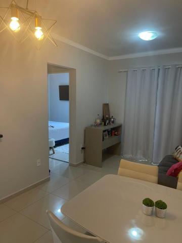 Alugar Apartamento / Padrão em São José do Rio Preto apenas R$ 1.300,00 - Foto 7