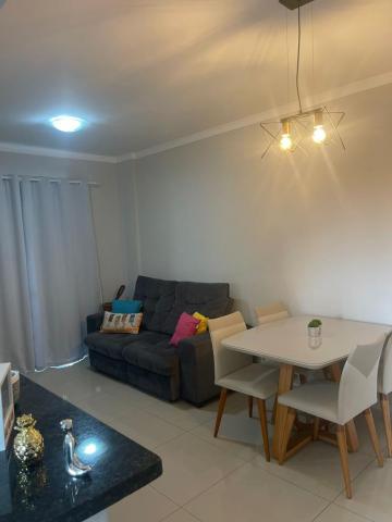 Apartamento / Padrão em São José do Rio Preto 