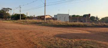 Alugar Terreno / Área em Ipiguá R$ 3.000,00 - Foto 2