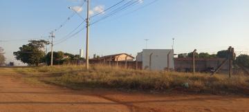 Alugar Terreno / Área em Ipiguá R$ 3.000,00 - Foto 7