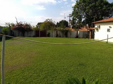 Alugar Rural / Chácara em São José do Rio Preto apenas R$ 3.000,00 - Foto 21