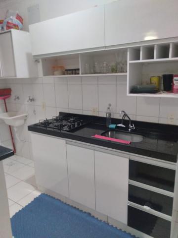 Comprar Apartamento / Padrão em São José do Rio Preto R$ 210.000,00 - Foto 11