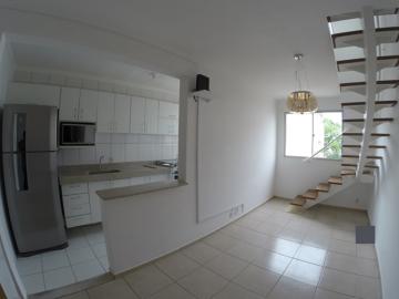 Alugar Apartamento / Cobertura em São José do Rio Preto apenas R$ 1.260,00 - Foto 2