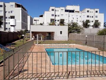 Alugar Apartamento / Cobertura em São José do Rio Preto R$ 1.260,00 - Foto 20