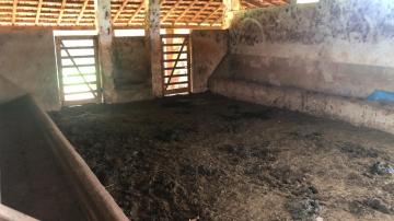 Comprar Rural / Sítio em Potirendaba R$ 5.500.000,00 - Foto 11