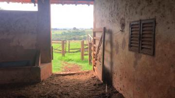 Comprar Rural / Sítio em Potirendaba R$ 5.500.000,00 - Foto 10