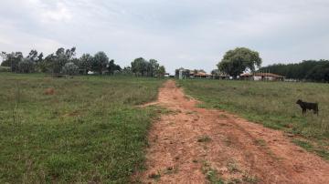 Comprar Rural / Sítio em Potirendaba R$ 5.500.000,00 - Foto 18