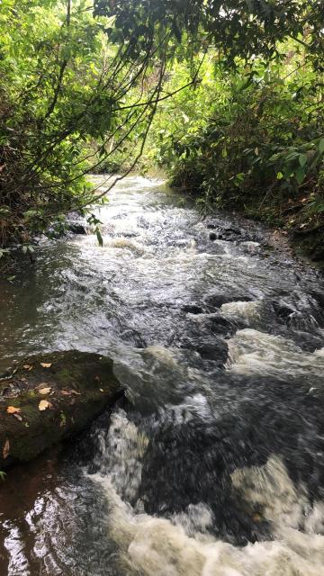 Comprar Rural / Sítio em Potirendaba apenas R$ 5.500.000,00 - Foto 20