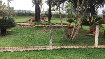 Comprar Rural / Sítio em Potirendaba R$ 5.500.000,00 - Foto 24