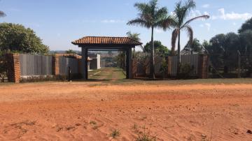 Comprar Rural / Sítio em Potirendaba R$ 5.500.000,00 - Foto 41