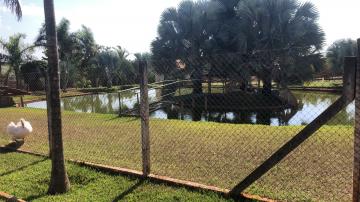 Comprar Rural / Sítio em Potirendaba R$ 5.500.000,00 - Foto 42