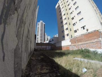 Alugar Terreno / Área em São José do Rio Preto apenas R$ 3.000,00 - Foto 4