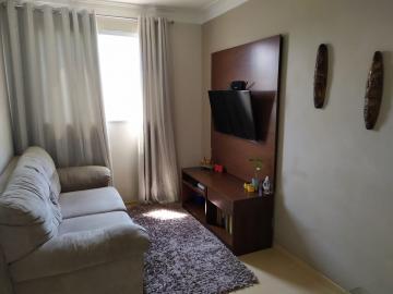 Comprar Apartamento / Padrão em São José do Rio Preto R$ 200.000,00 - Foto 52