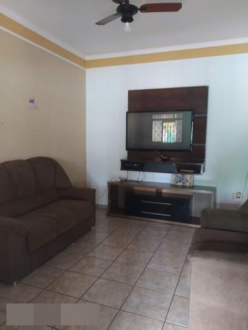 Comprar Rural / Rancho em Adolfo apenas R$ 700.000,00 - Foto 5