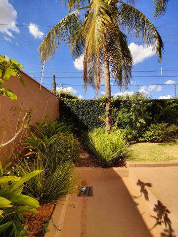 Alugar Casa / Sobrado em São José do Rio Preto apenas R$ 6.000,00 - Foto 23