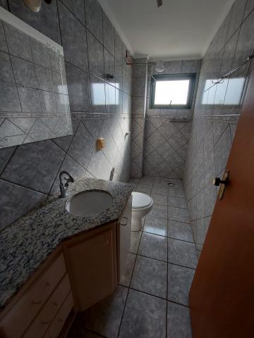 Alugar Apartamento / Padrão em São José do Rio Preto apenas R$ 750,00 - Foto 15