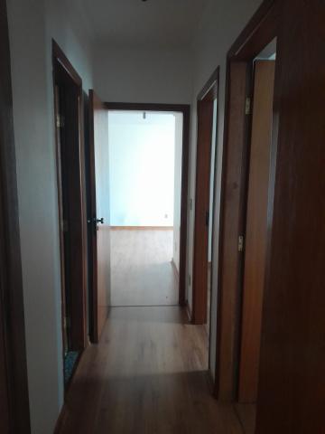 Alugar Apartamento / Padrão em São José do Rio Preto R$ 900,00 - Foto 16