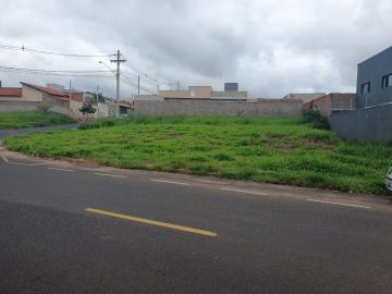 Terreno / Padrão em São José do Rio Preto , Comprar por R$125.000,00