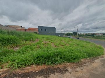 Comprar Terreno / Padrão em São José do Rio Preto R$ 125.000,00 - Foto 3