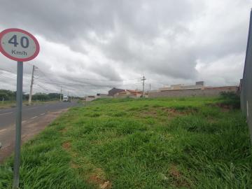 Comprar Terreno / Padrão em São José do Rio Preto apenas R$ 125.000,00 - Foto 6