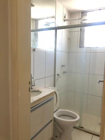 Alugar Apartamento / Padrão em São José do Rio Preto apenas R$ 1.100,00 - Foto 11