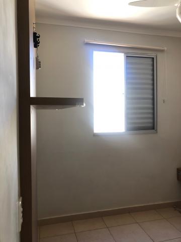 Alugar Apartamento / Padrão em São José do Rio Preto apenas R$ 1.100,00 - Foto 15