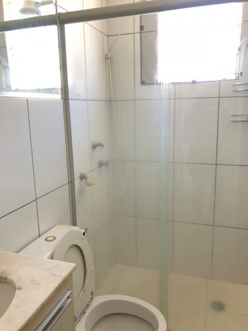 Alugar Apartamento / Padrão em São José do Rio Preto apenas R$ 1.100,00 - Foto 19