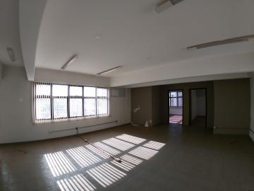 Alugar Comercial / Sala em São José do Rio Preto apenas R$ 1.300,00 - Foto 1