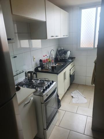 Alugar Apartamento / Padrão em São José do Rio Preto R$ 1.250,00 - Foto 3