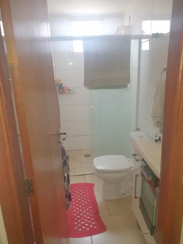 Alugar Apartamento / Padrão em São José do Rio Preto R$ 1.250,00 - Foto 10