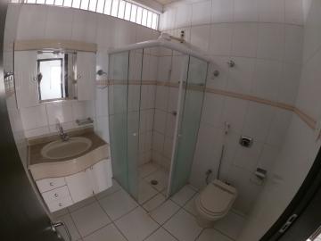 Alugar Apartamento / Padrão em São José do Rio Preto apenas R$ 800,00 - Foto 11