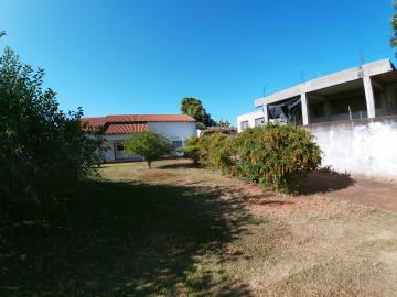 Alugar Casa / Padrão em São José do Rio Preto apenas R$ 900,00 - Foto 28