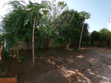 Alugar Casa / Padrão em São José do Rio Preto apenas R$ 750,00 - Foto 15