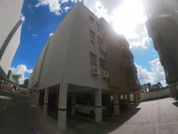 Alugar Apartamento / Padrão em São José do Rio Preto. apenas R$ 850,00