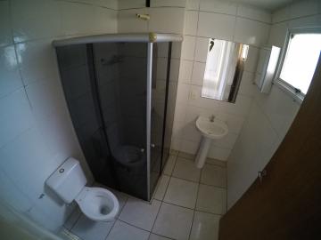 Alugar Apartamento / Padrão em São José do Rio Preto apenas R$ 800,00 - Foto 9