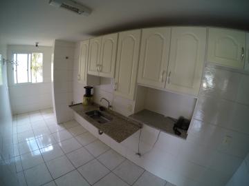 Alugar Apartamento / Padrão em São José do Rio Preto apenas R$ 800,00 - Foto 14