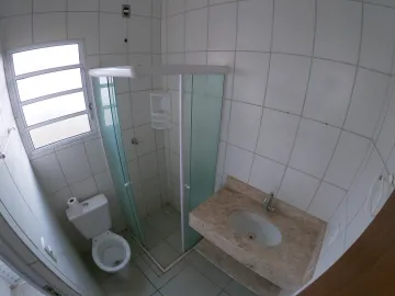 Alugar Casa / Padrão em São José do Rio Preto R$ 800,00 - Foto 12